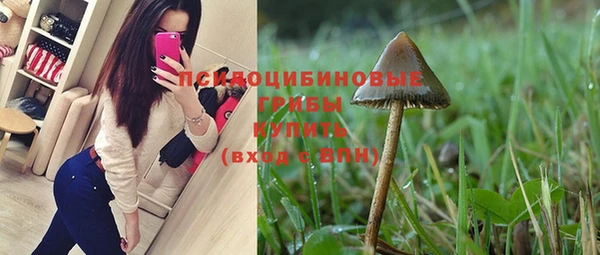 стафф Пестово