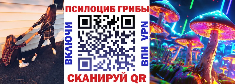 Галлюциногенные грибы Psilocybine cubensis  цены наркотик  Костерёво 